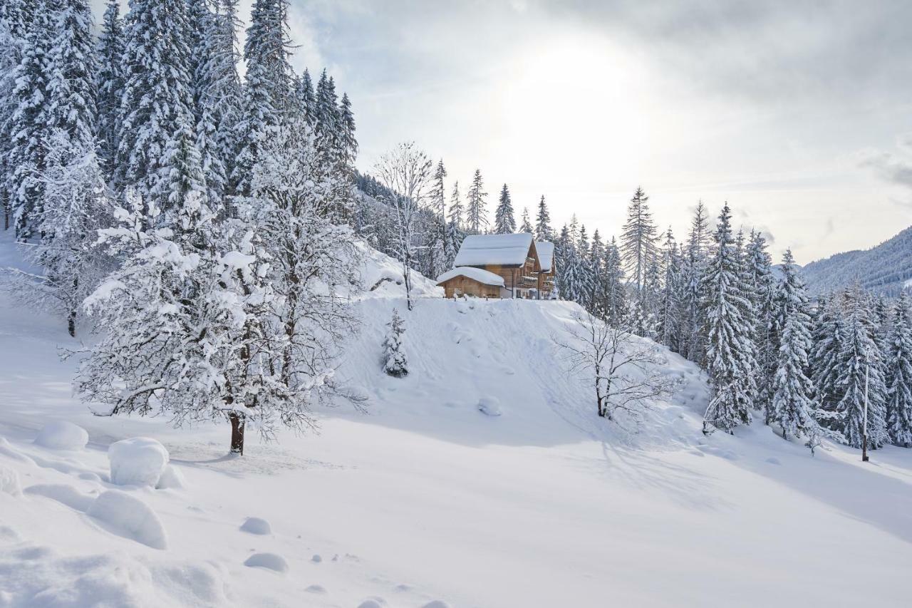 Chalets Almidylle Санкт-Мартин-ам-Тенненгебирге Экстерьер фото